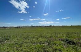 Teren intravilan 3000 mp, deschidere 21, Peugeot/Pielesti