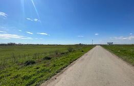 Teren intravilan 3000 mp, deschidere 21, Peugeot/Pielesti