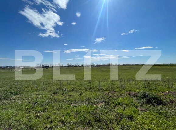 Teren de vânzare Pielești - 149723TV | BLITZ Craiova | Poza2