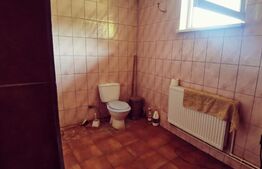 Duplex P+1, 250 mp si 2229 mp teren intravilan, in Leamna de Jos