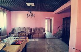 Duplex P+1, 250 mp si 2229 mp teren intravilan, in Leamna de Jos