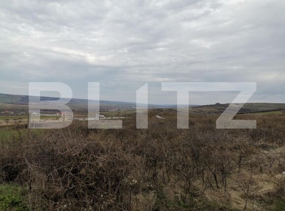 Teren de vânzare Simnicu de Sus  - 149821TV | BLITZ Craiova | Poza4
