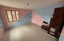 Casa plan parter, 80 mp, 250 mp teren, zona Promenada Mall