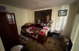 Casa plan parter, 80 mp, 250 mp teren, zona Promenada Mall