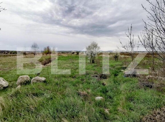 Teren de vânzare Isalnita - 149859TV | BLITZ Craiova | Poza2