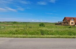 Oferta! 2000 mp teren intravilan, la strada principala, lângă Pielesti!