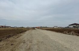 Parcele de teren intravilan de 719 mp, utilități la front,Pielești,zona Magnolia