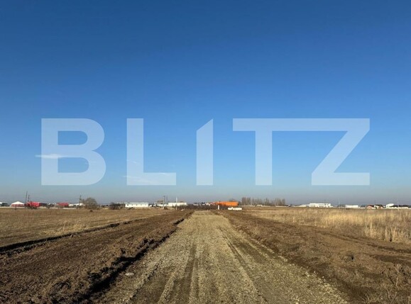 Teren de vânzare Pielești - 149876TV | BLITZ Craiova | Poza3