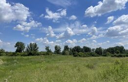 Teren 4600 mp, intravilan, Leamna de Jos