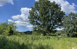 Teren 4600 mp, intravilan, Leamna de Jos