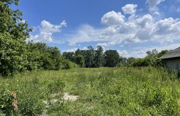 Teren 4600 mp, intravilan, Leamna de Jos