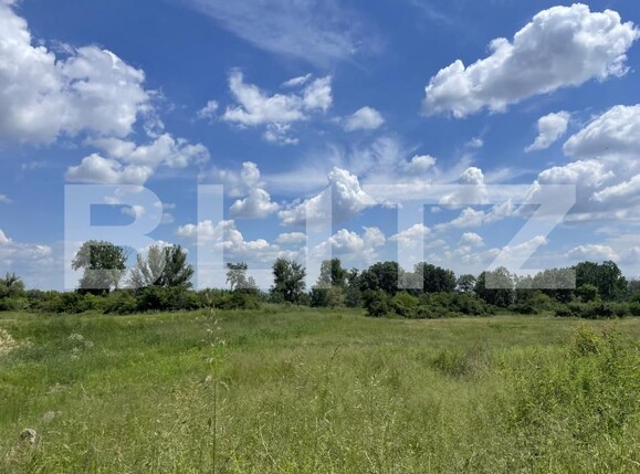 Teren de vânzare Leamna de Jos - 149935TV | BLITZ Craiova | Poza1