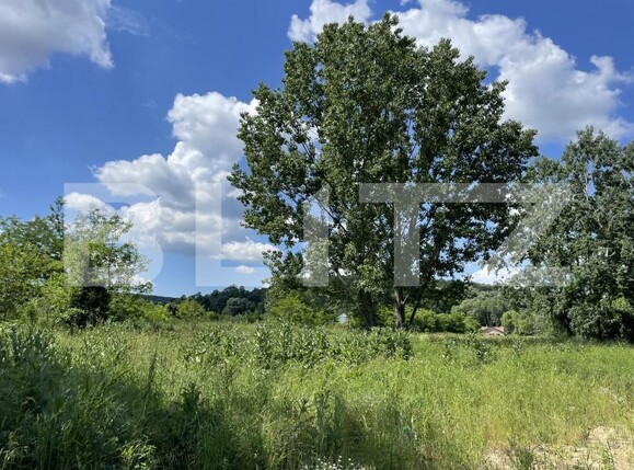 Teren de vânzare Leamna de Jos - 149935TV | BLITZ Craiova | Poza2