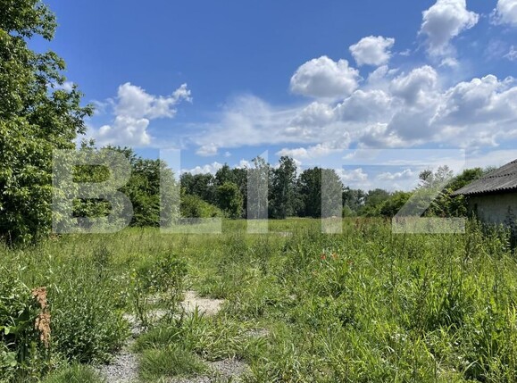 Teren de vânzare Leamna de Jos - 149935TV | BLITZ Craiova | Poza3