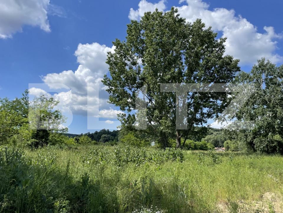 Teren de vânzare Leamna de Jos - 149935TV | BLITZ Craiova | Poza2