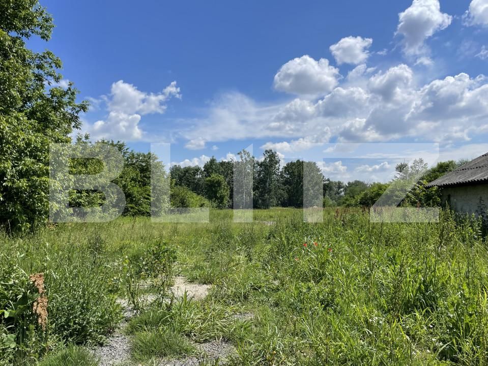 Teren de vânzare Leamna de Jos - 149935TV | BLITZ Craiova | Poza3