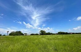 REDUCERE! Teren intravilan 4.444 mp, pretabil proiect imobiliar, zona Aeroport