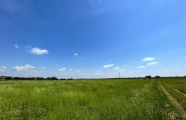 REDUCERE! Teren intravilan 4.444 mp, pretabil proiect imobiliar, zona Aeroport