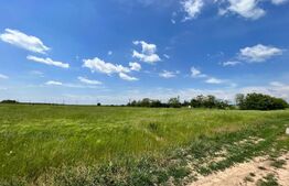 REDUCERE! Teren intravilan 4.444 mp, pretabil proiect imobiliar, zona Aeroport