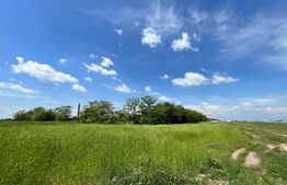 REDUCERE! Teren intravilan 4.444 mp, pretabil proiect imobiliar, zona Aeroport