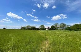 REDUCERE! Teren intravilan 4.444 mp, pretabil proiect imobiliar, zona Aeroport