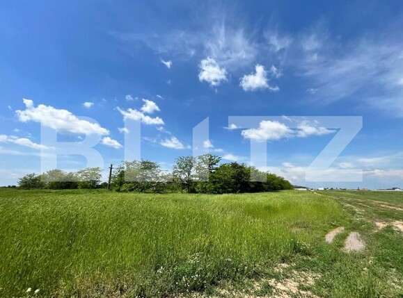 Teren de vânzare Aeroport - 149946TV | BLITZ Craiova | Poza2