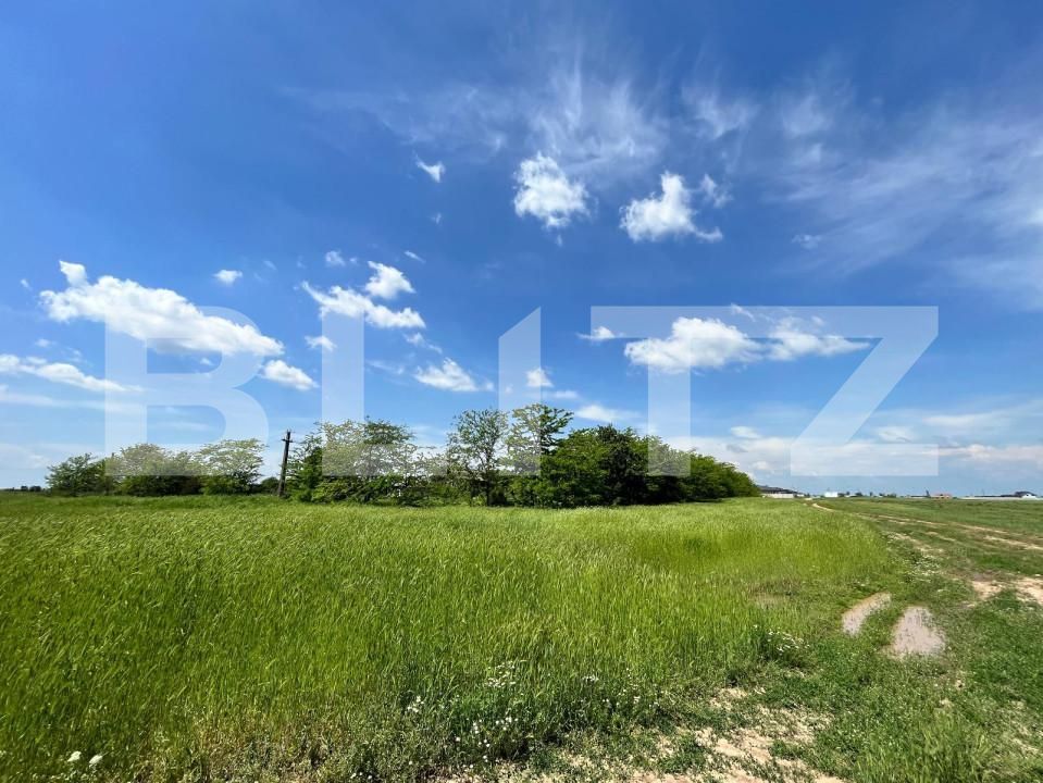 Teren de vânzare Aeroport - 149946TV | BLITZ Craiova | Poza2