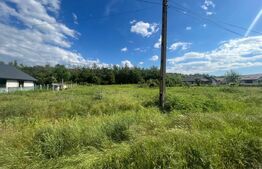 Teren intravilan Leamna de sus, 2500 mp, deschidere 40 ml 