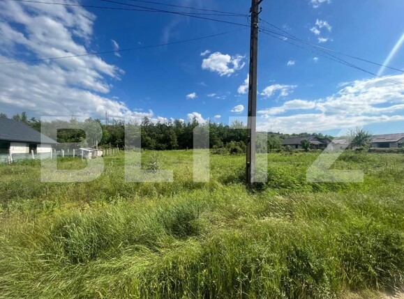 Teren de vânzare Leamna de Sus - 149966TV | BLITZ Craiova | Poza1