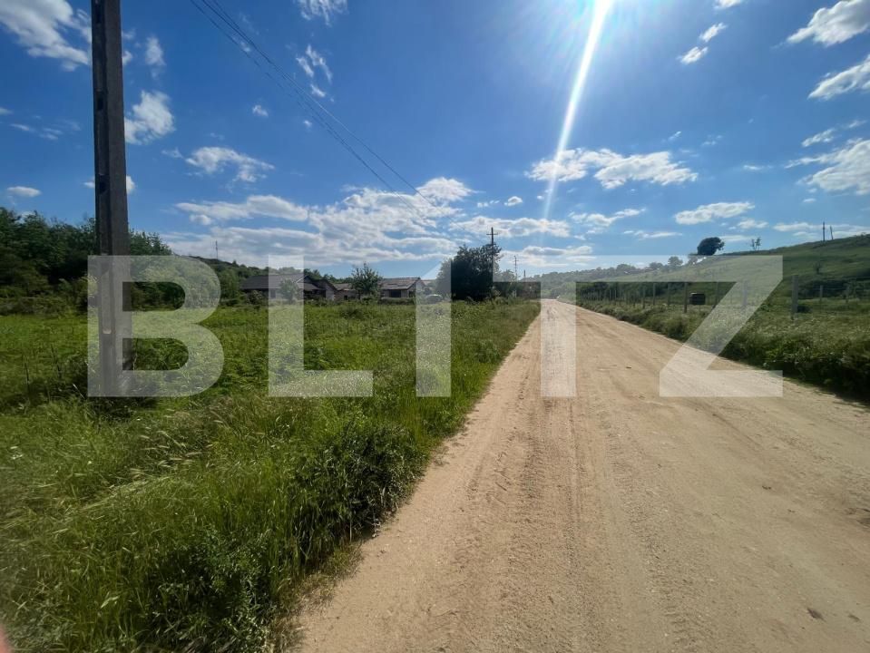 Teren de vânzare Leamna de Sus - 149966TV | BLITZ Craiova | Poza3
