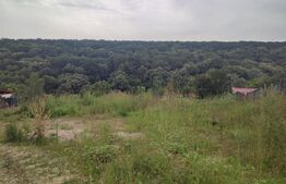 Teren 2350 mp lângă pădure ,zona Leamna de Jos 