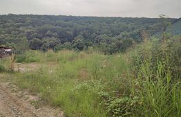 Teren 2350 mp lângă pădure ,zona Leamna de Jos 