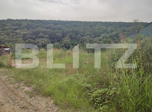 Teren de vânzare Leamna de Jos - 149967TV | BLITZ Craiova | Poza1