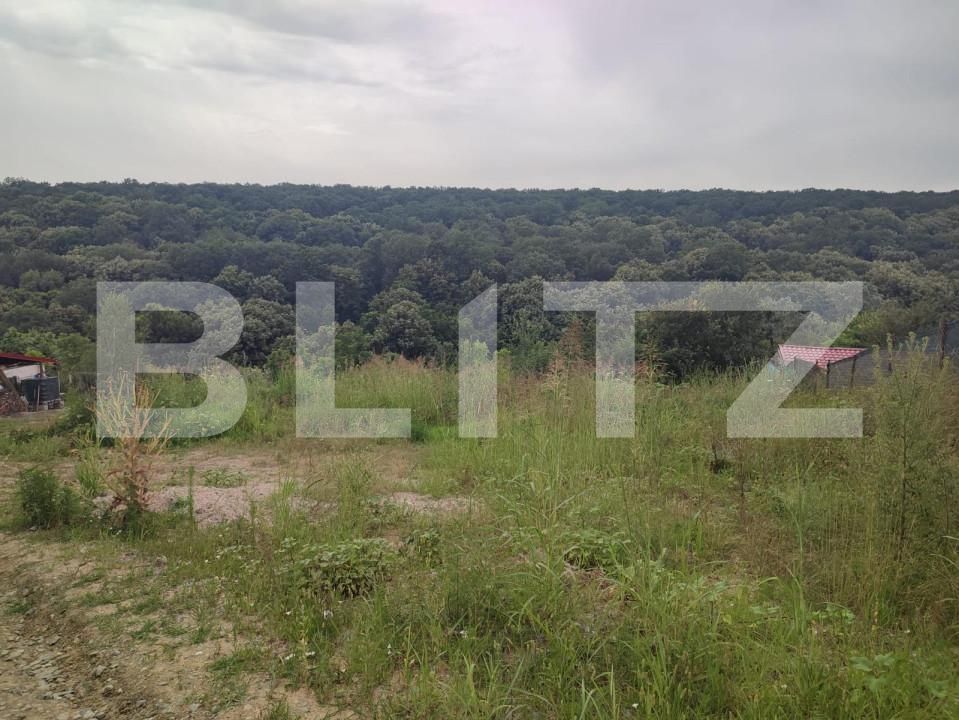 Teren de vânzare Leamna de Jos - 149967TV | BLITZ Craiova | Poza2