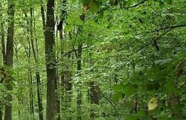 Teren de vânzare Leamna de Jos, Craiova