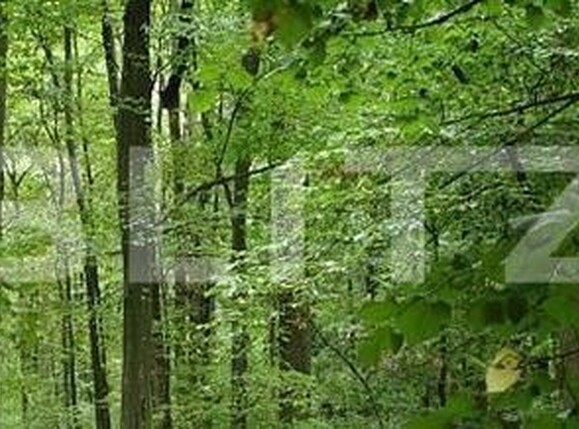 Teren de vânzare Leamna de Jos - 149969TV | BLITZ Craiova | Poza1