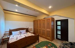 Casă P + M 369 mp utili, teren 1.515 mp, foișor, Leamna de Sus