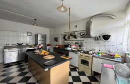 Casă P + M 369 mp utili, teren 1.515 mp, foișor, Leamna de Sus