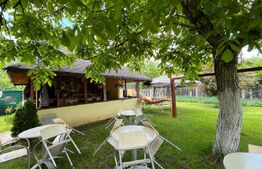 Casă P + M 369 mp utili, teren 1.515 mp, foișor, Leamna de Sus