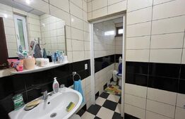 Casă P + M 369 mp utili, teren 1.515 mp, foișor, Leamna de Sus