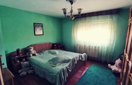 Ocazie! Casă S+P+E, 300 m² utili și 1086 m²,teren deschidere stradală,Malu MARE!