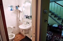 Ocazie! Casă S+P+E, 300 m² utili și 1086 m²,teren deschidere stradală,Malu MARE!