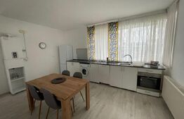 Apartament 3 camere 160mp+curte 300mp, AC, centrala termica, zona Ford