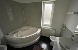 Apartament 3 camere 160mp+curte 300mp, AC, centrala termica, zona Ford