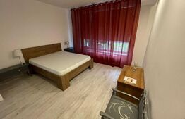 Apartament 3 camere 160mp+curte 300mp, AC, centrala termica, zona Ford