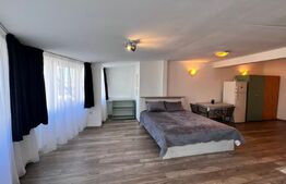 Studio, 49.28mp,  zona centrala 