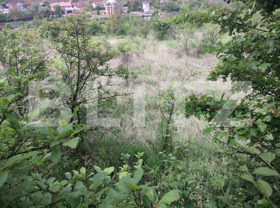 Teren de vânzare Leamna de Sus - 150459TV | BLITZ Craiova | Poza2