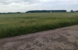 OFERTA!! Teren 1000 mp , în zona Carcea, Hanul cu ponei