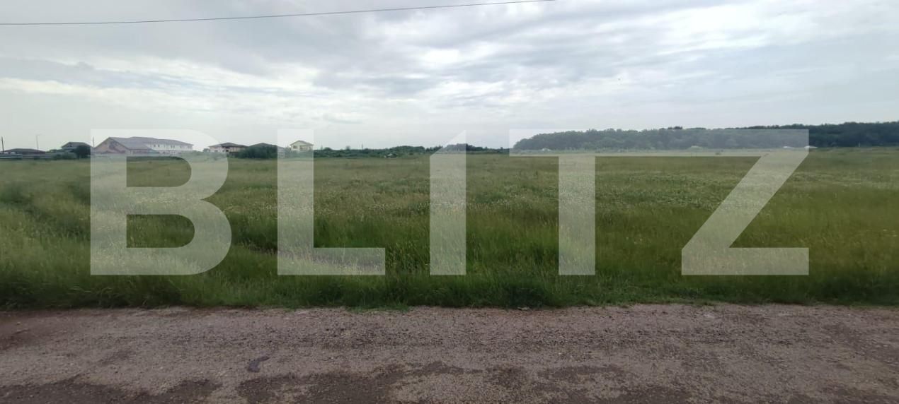 Teren de vânzare Carcea  - 150460TV | BLITZ Craiova | Poza3
