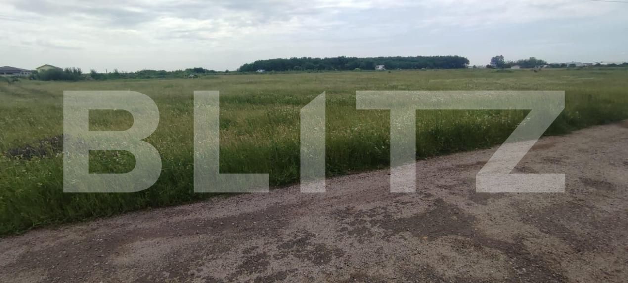 Teren de vânzare Carcea  - 150460TV | BLITZ Craiova | Poza1
